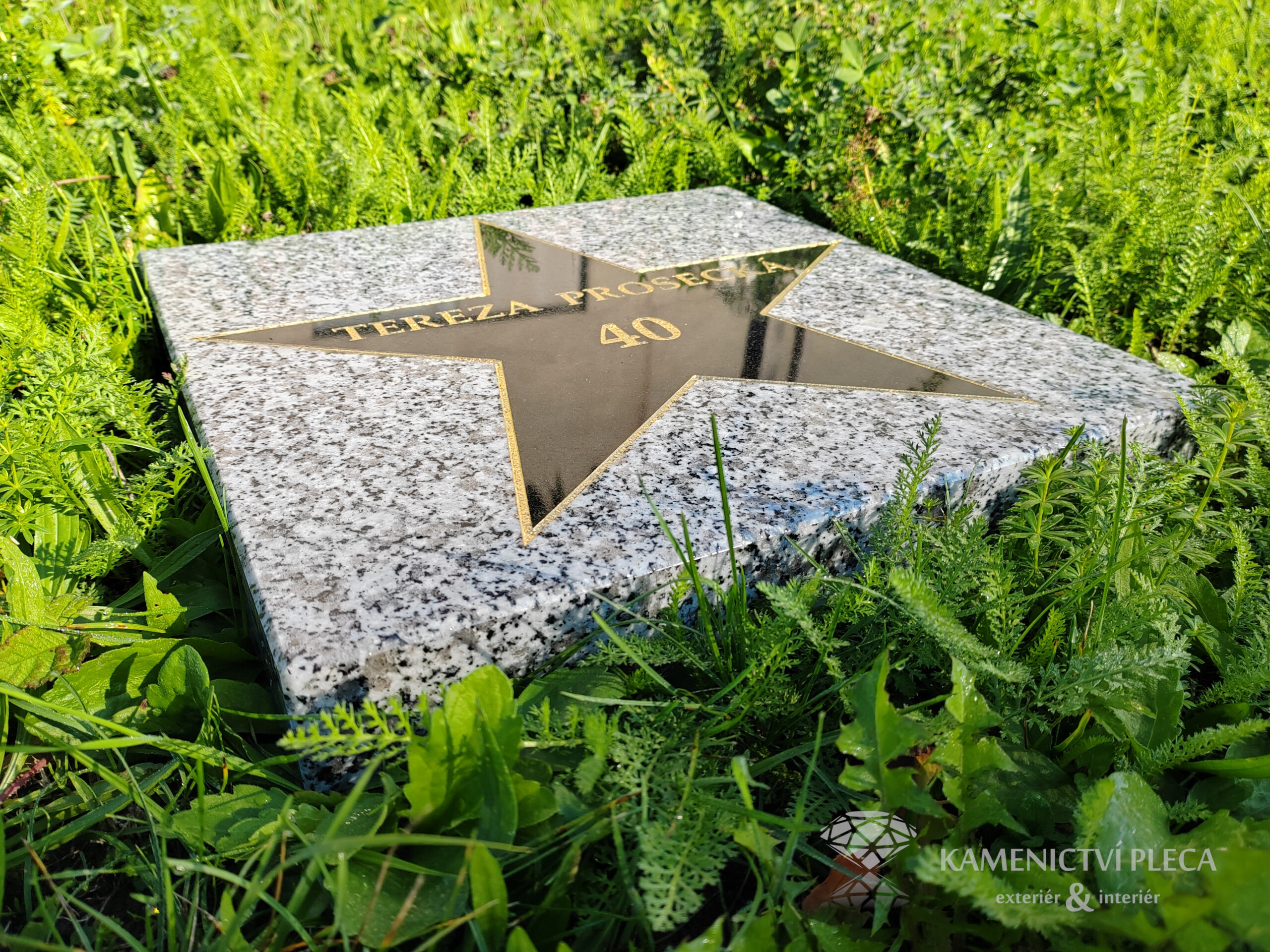 Hollywoodská hvězda